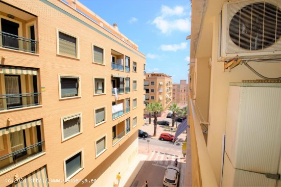  Apartamento en venta en Guardamar del Segura (Alicante) 