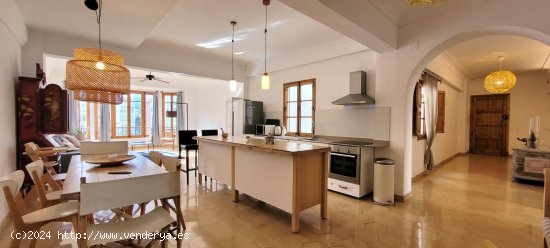 Apartamento en alquiler en Palma de Mallorca (Baleares)