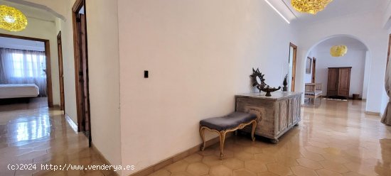 Apartamento en alquiler en Palma de Mallorca (Baleares)