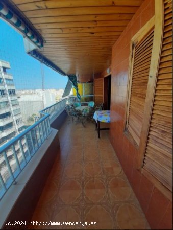 Piso en venta en Torrevieja (Alicante)