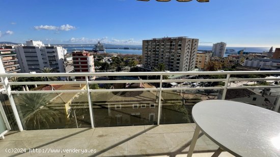 Apartamento en alquiler en Palma de Mallorca (Baleares)