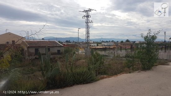 Parcela en venta en Orihuela (Alicante)