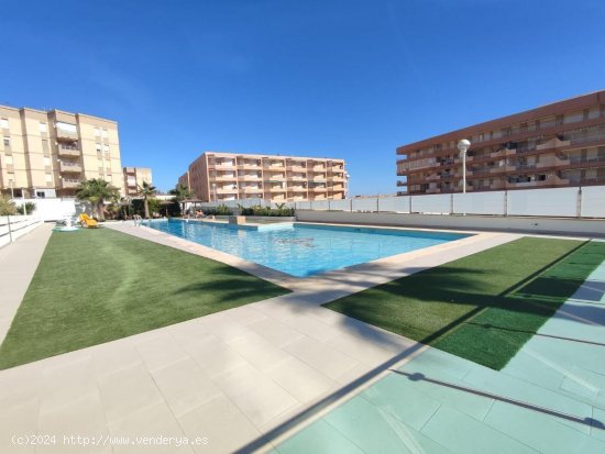  Apartamento en venta en Guardamar del Segura (Alicante) 