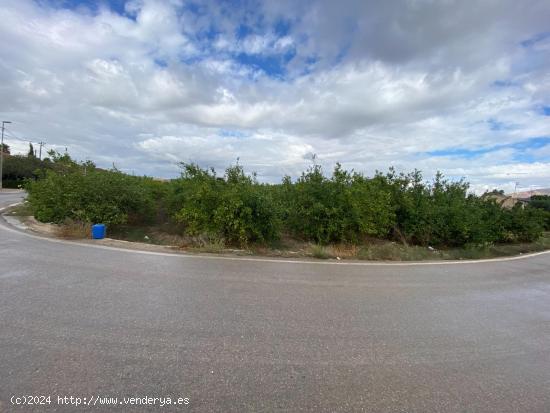 PARCELA URBANA EN LA HUERTA DE EL ESPARRAGAL - MURCIA