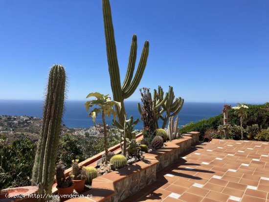 Finca en venta en Almuñécar (Granada)