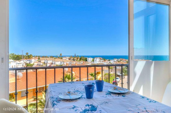  Apartamento en alquiler en Mijas (Málaga) 