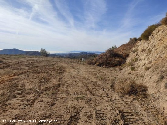  Parcela en venta en Canillas de Albaida (Málaga) 