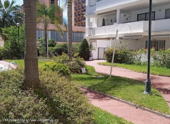 Apartamento en venta en Torremolinos (Málaga)