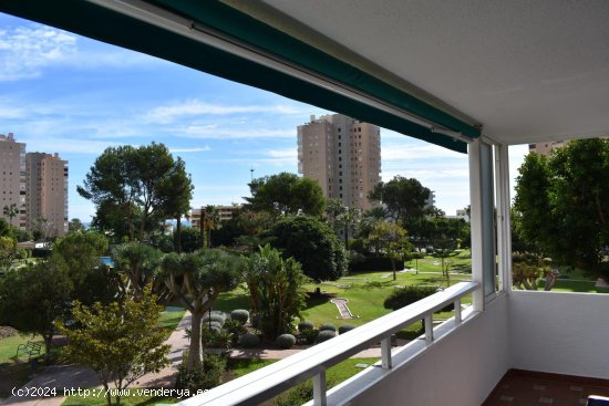  Apartamento en alquiler en Torremolinos (Málaga) 