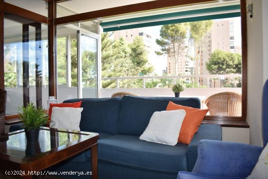 Apartamento en alquiler en Torremolinos (Málaga)