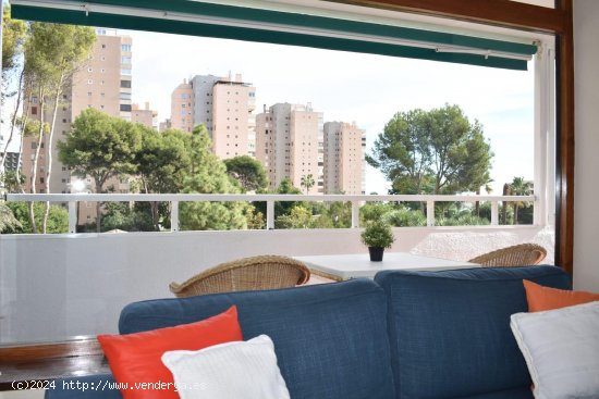 Apartamento en alquiler en Torremolinos (Málaga)