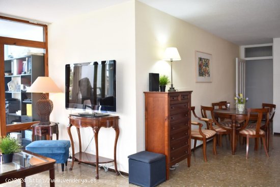 Apartamento en alquiler en Torremolinos (Málaga)