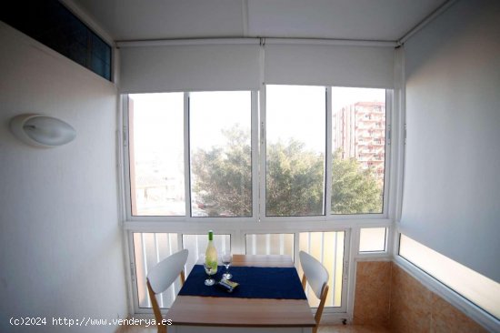 Estudio en alquiler en Benalmádena (Málaga)