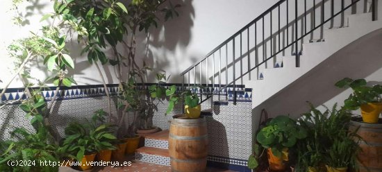 Apartamento en alquiler en Fuengirola (Málaga)