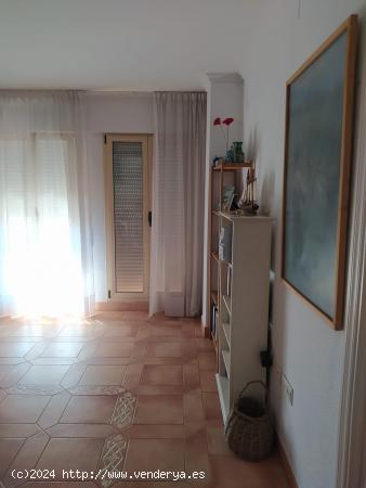 VIVIENDA EN ALQUILER EN JULIO EN ROTA - CADIZ