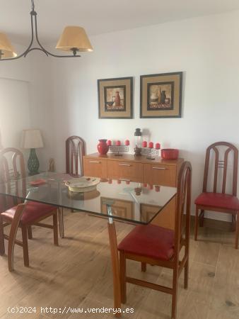 APARTAMENTO EN ALQUILER ANUAL A ESTRENAR - CADIZ