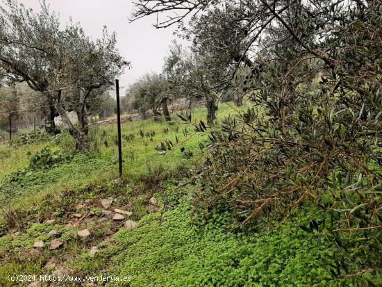 Parcela 1500 m2 al lado del pueblo Sierra de Fuentes - CACERES