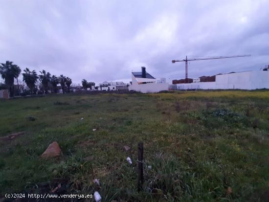 Parcela en pleno centro del Casar de Cáceres - CACERES