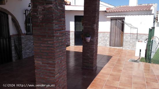 Se Vende en Alcaucin - MALAGA