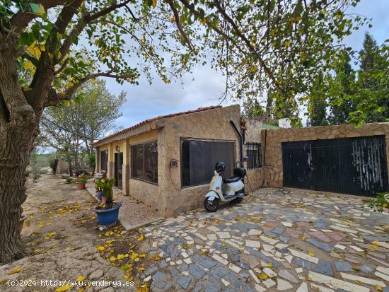  SE VENDE CAMPO EN LA ESCANDELLA - AGOST (ALICANTE) - ALICANTE 