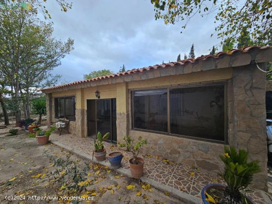 SE VENDE CAMPO EN LA ESCANDELLA - AGOST (ALICANTE) - ALICANTE