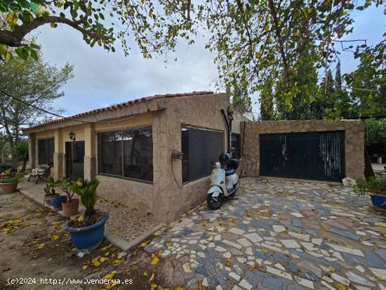 SE VENDE CAMPO EN LA ESCANDELLA - AGOST (ALICANTE) - ALICANTE