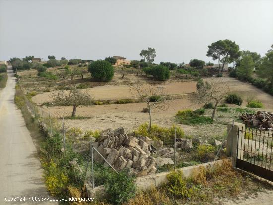 Se Vende en Maria de la Salut - BALEARES