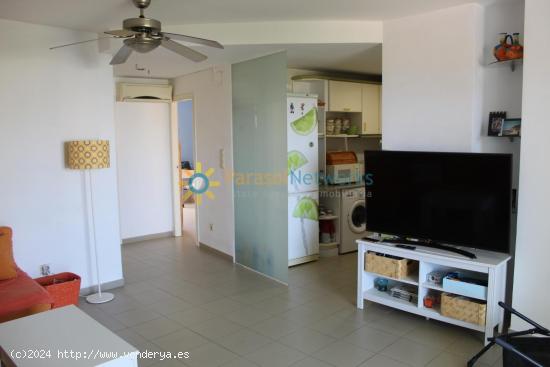 Apartamento en alquiler en la playa de Oliva Ref: 341 - VALENCIA