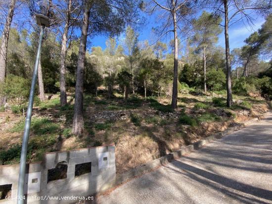 Venta de Terreno en plena naturaleza en Corbera de LLobregat! - BARCELONA