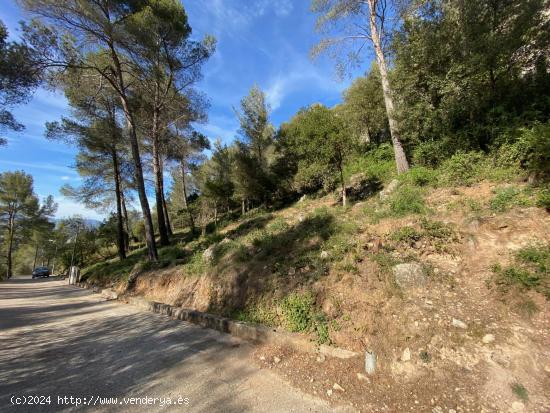 Venta de Terreno en plena naturaleza en Corbera de LLobregat! - BARCELONA