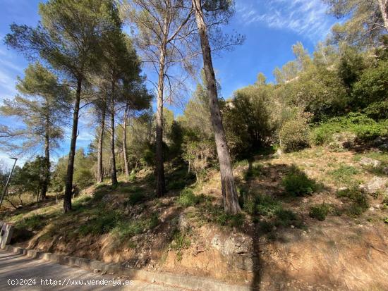 Venta de Terreno en plena naturaleza en Corbera de LLobregat! - BARCELONA