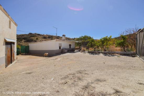 ¡Magnífica Finca de 18 Hectáreas en Plena Producción de Almendros y Olivos! - GRANADA