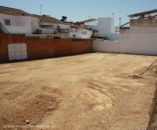  TERRENO CON SEIS PARCELAS INDIVIDUALES EN CANTAILLANAS - SEVILLA 