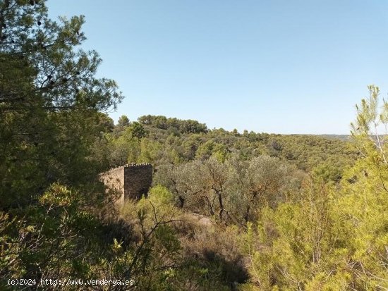 Suelo rústico en venta  en Horta de Sant Joan - Tarragona