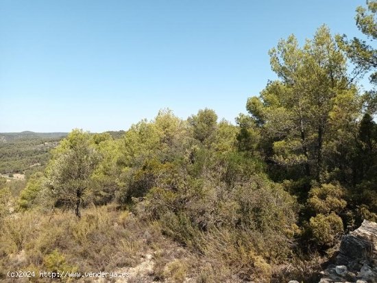 Suelo rústico en venta  en Horta de Sant Joan - Tarragona