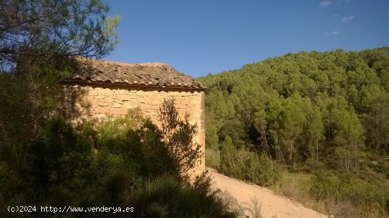 Suelo rústico en venta  en Horta de Sant Joan - Tarragona