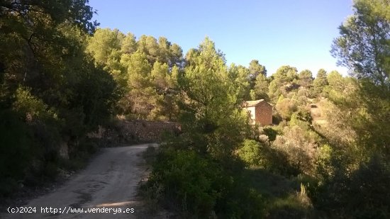 Suelo rústico en venta  en Horta de Sant Joan - Tarragona