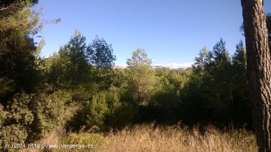 Suelo rústico en venta  en Horta de Sant Joan - Tarragona