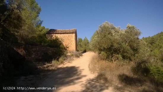 Suelo rústico en venta  en Horta de Sant Joan - Tarragona