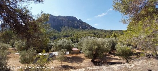 Suelo rústico en venta  en Horta de Sant Joan - Tarragona