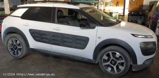 CITROEN C4 Cactus en venta en Murcia (Murcia) - Murcia