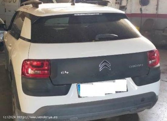 CITROEN C4 Cactus en venta en Murcia (Murcia) - Murcia