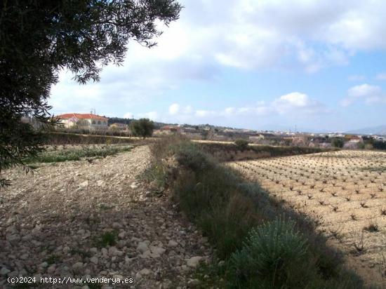 TERRENO EN HONDON DE LOS FRAILES - ALICANTE