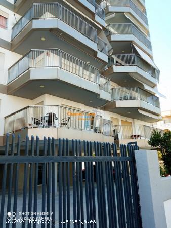  SE ALQUILA APARTAMENTO JULIO Y AGOSTO,  JUNTO AL MAR !!!!!! - ALICANTE 