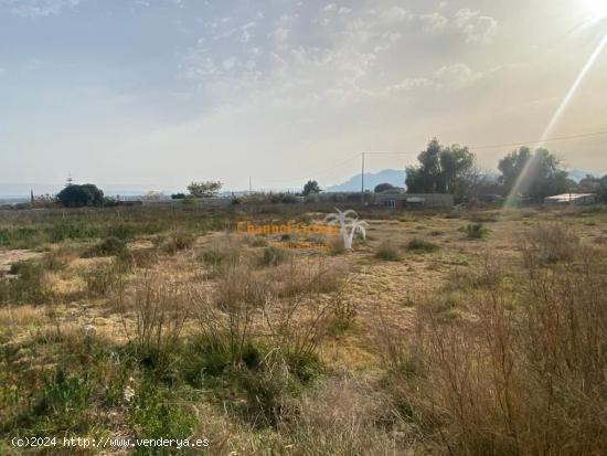 SE VENDE CASITA DE 65 M2 EN PARCELA DE 9000 M2, PARTIDA CACHAPETS !!!!!! - ALICANTE