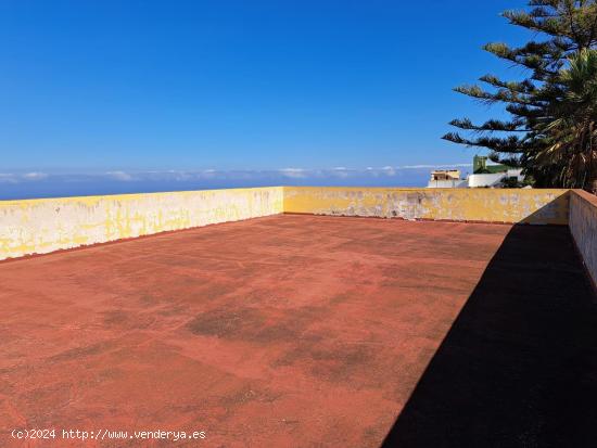 LOCAL COMERCIAL EN LA OROTAVA, PINO ALTO - SANTA CRUZ DE TENERIFE