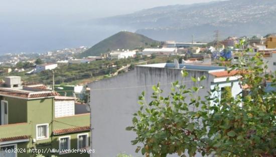  Los Realejos. 150m2 terreno urbano calle Las Toscas de Romero - SANTA CRUZ DE TENERIFE 