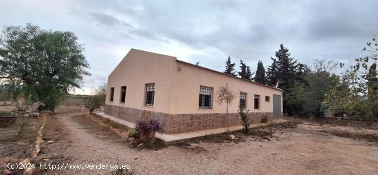  FINCA RUSTICA EN VENTA, LA GUIA - MURCIA 