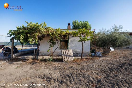  ¡IMPRESIONANTE FINCA RÚSTICA EN LA ZUBIA! - GRANADA 