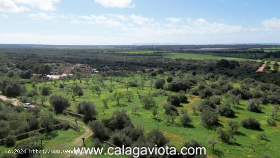 Terreno extraordinario con vistas a Cabrera - BALEARES